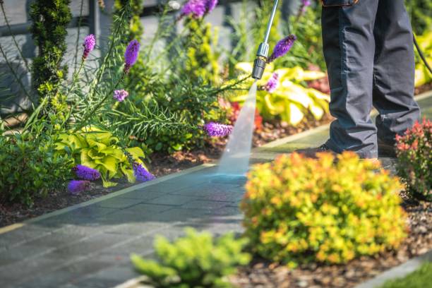 Best Sidewalk and Walkway Cleaning  in Dogtown, CA